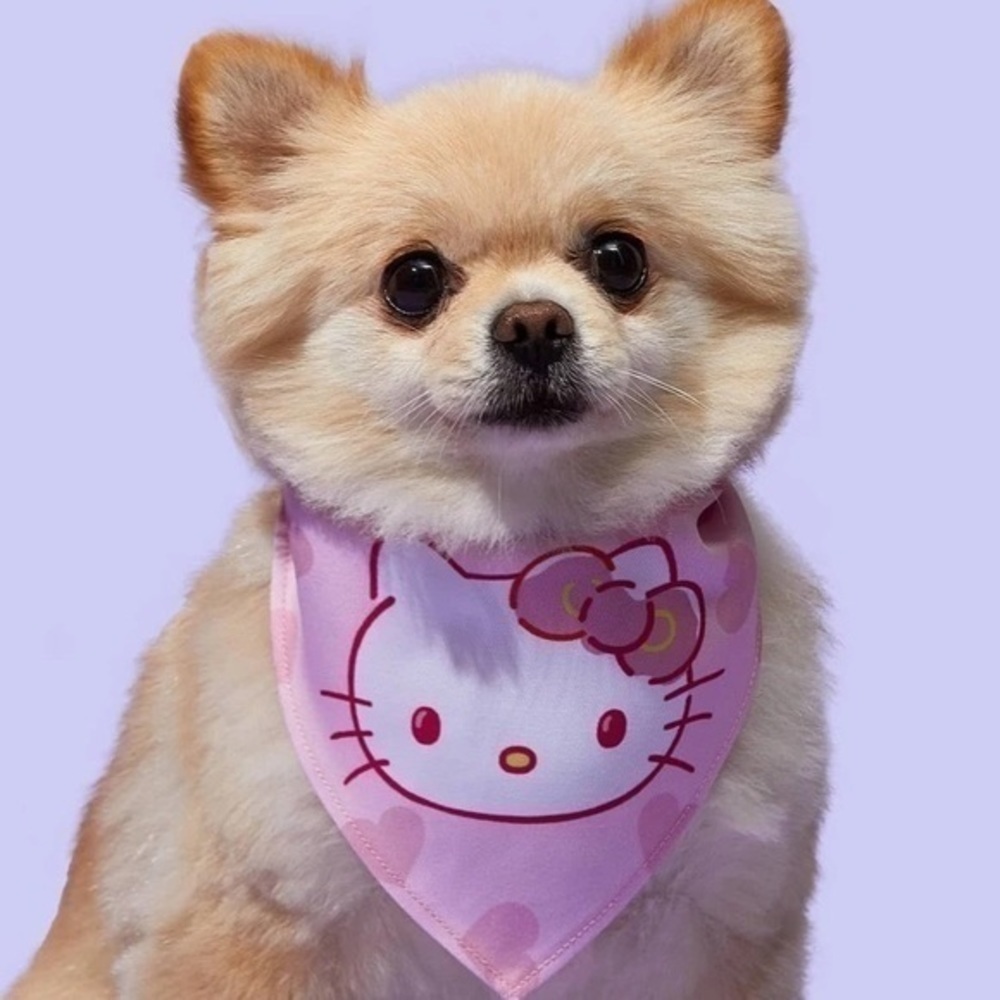 Hello Kitty Pet Bandana and Bow Set